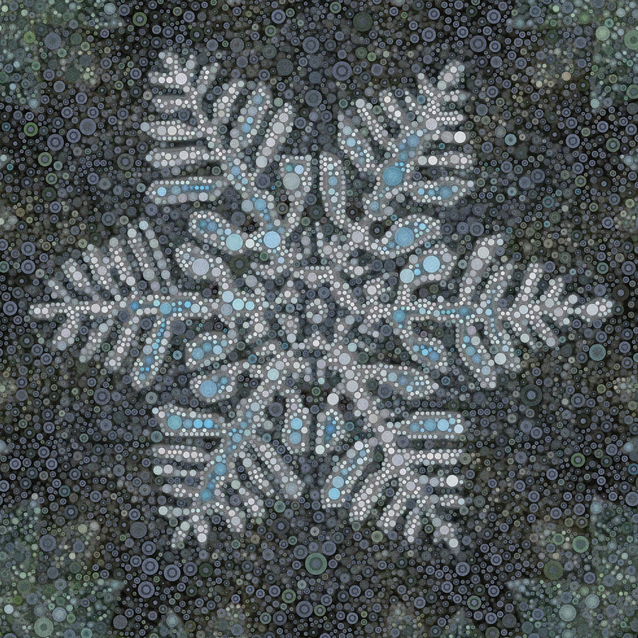 Snowflake Digital Art by Daniel McPheeters