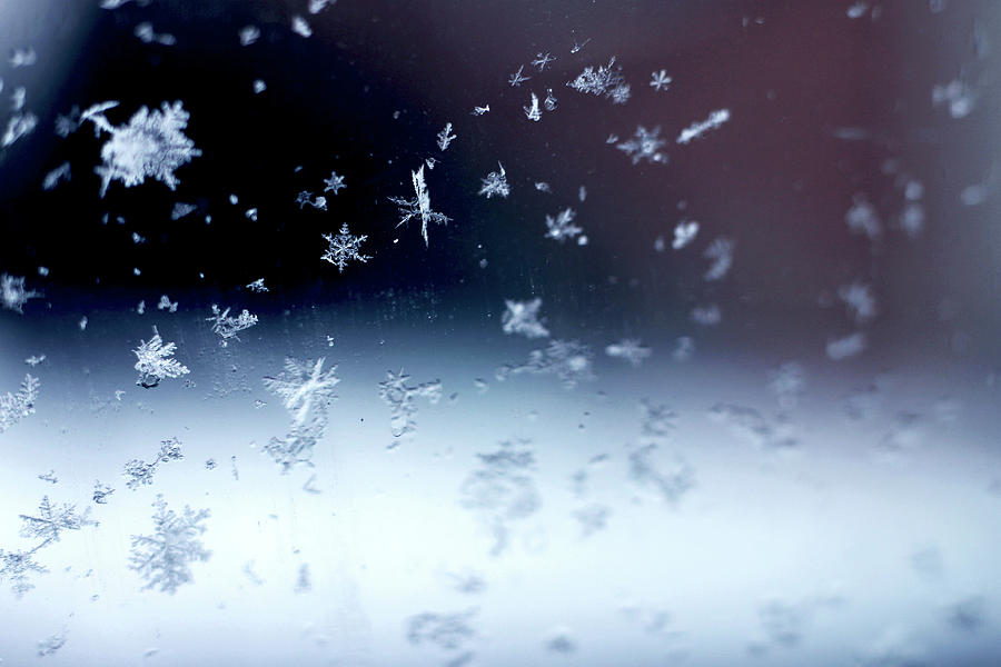 Real Snowflakes Falling