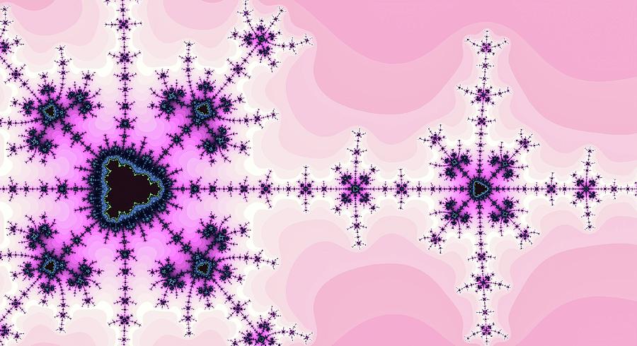 Snowflake Fantasy Pink Digital Art by Don Northup