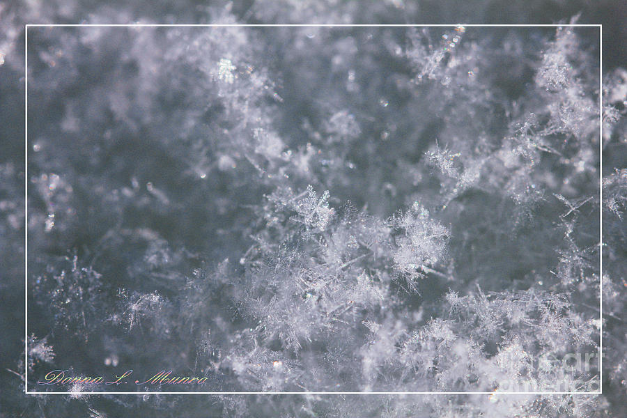 Snowflake Glitter Photograph by Donna L Munro