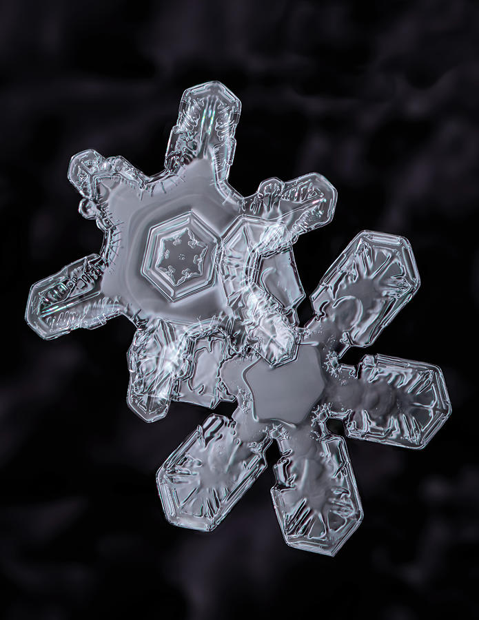 Snowflakes Photograph by Brian Caldwell
