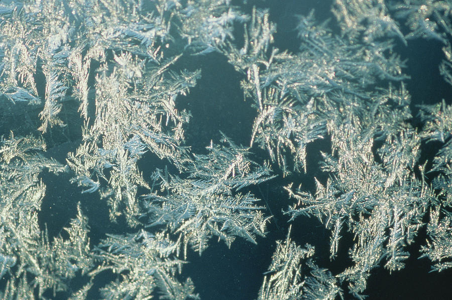 Snowflakes, Close-up Photograph by Joanna Mccarthy