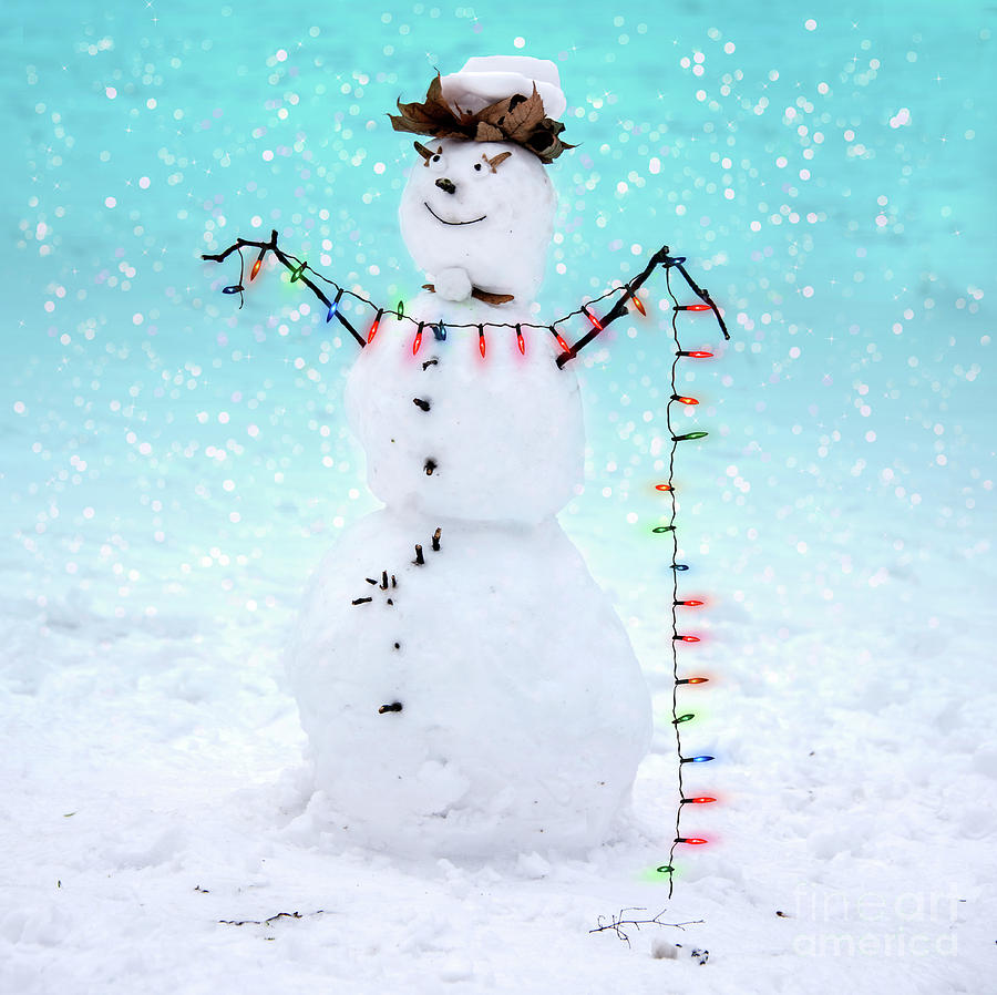 Christmas Photograph - Snowman by Juli Scalzi