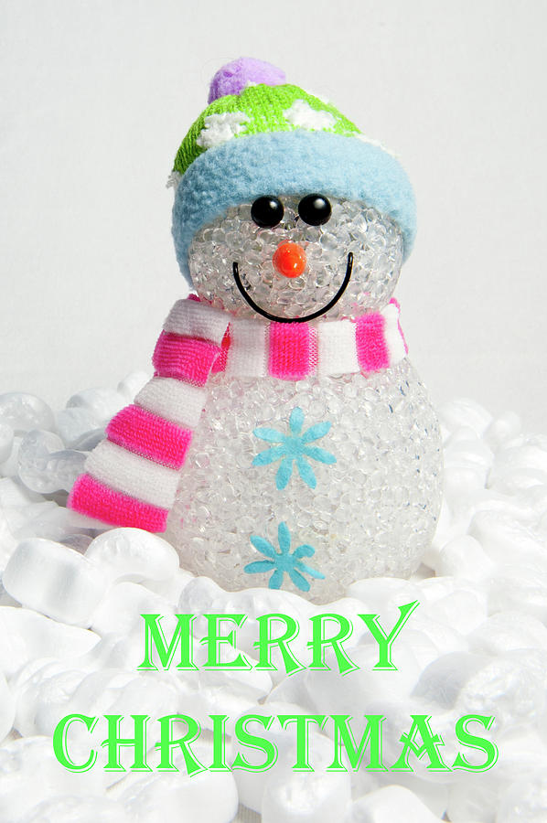 Snowman - Merry Christmas Photograph by Helen Jackson