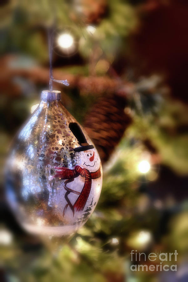Snowman Ornament Photograph by Lois Bryan