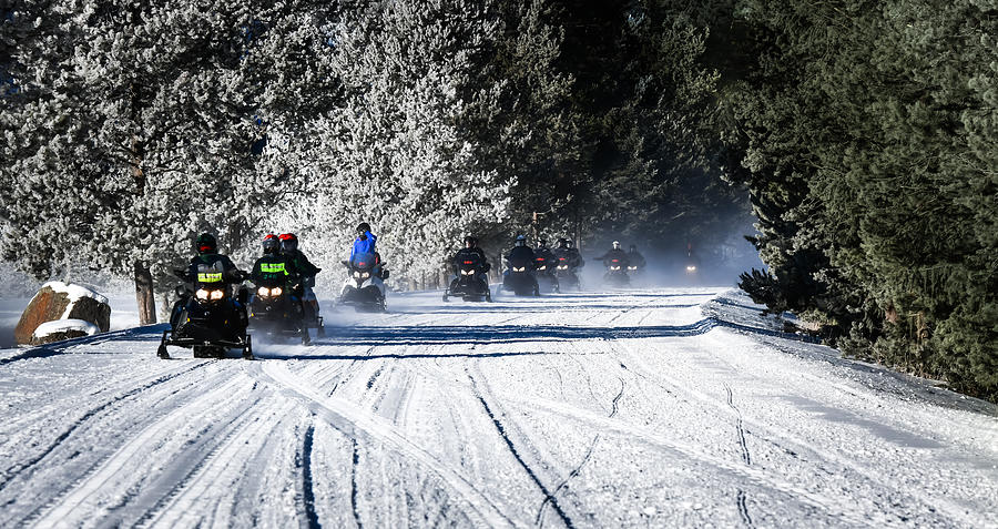 Snowmobiling Yellowstone Photograph by Karen Wiles
