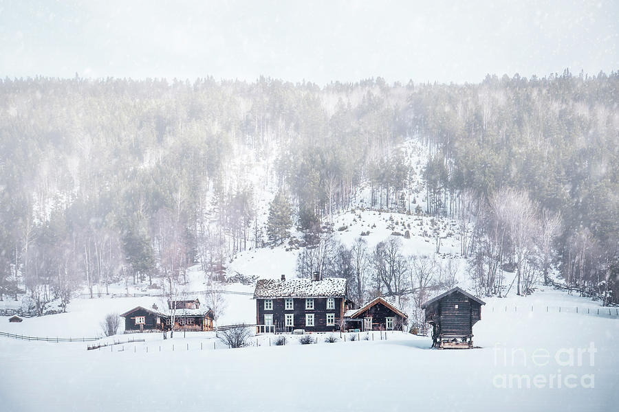 Winter Photograph - Snows Of March by Evelina Kremsdorf