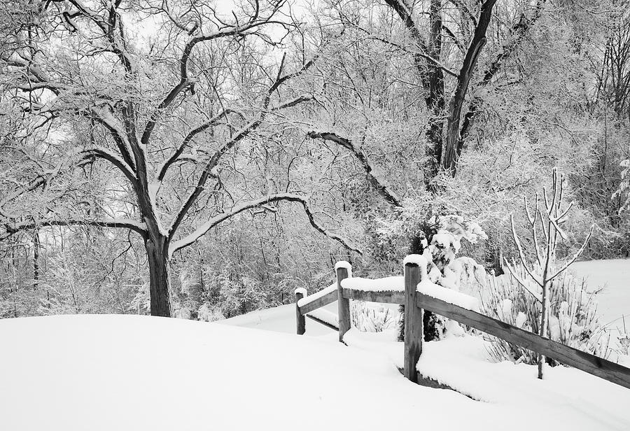 Winter Photograph - Snowscape, Farmington Hills, Michigan ?08 by Monte Nagler