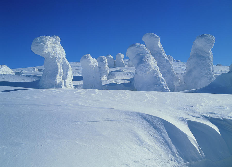 Snowscape Of Hakkoda Mountains, Aomori Photograph by Mixa