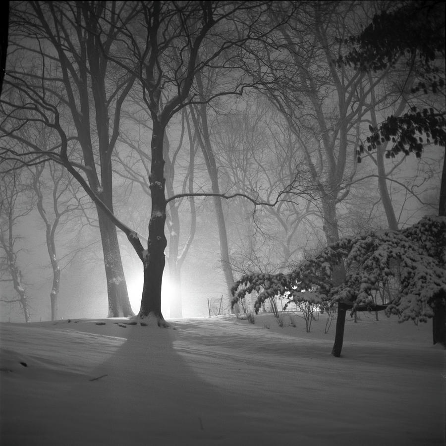 Snowstorm, Central Park Photograph by Adam Garelick