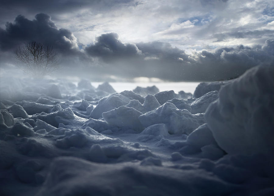 Snowstorm Photograph by Franz Schumacher