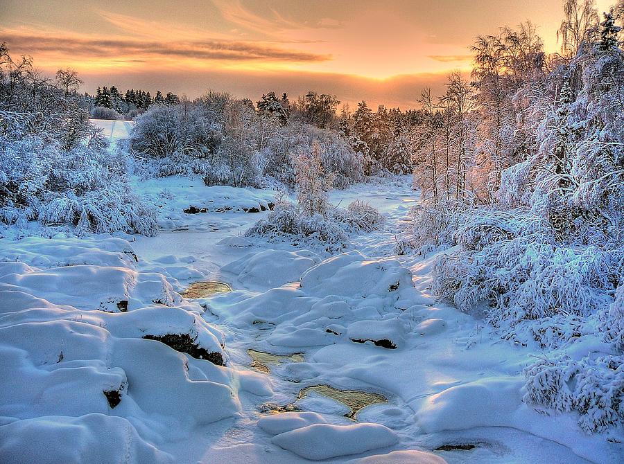 Snowwhite Light Photograph by Tapio Hurme