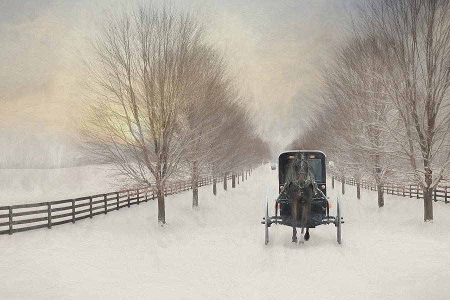 Winter Mixed Media - Snowy Amish Lane by Lori Deiter