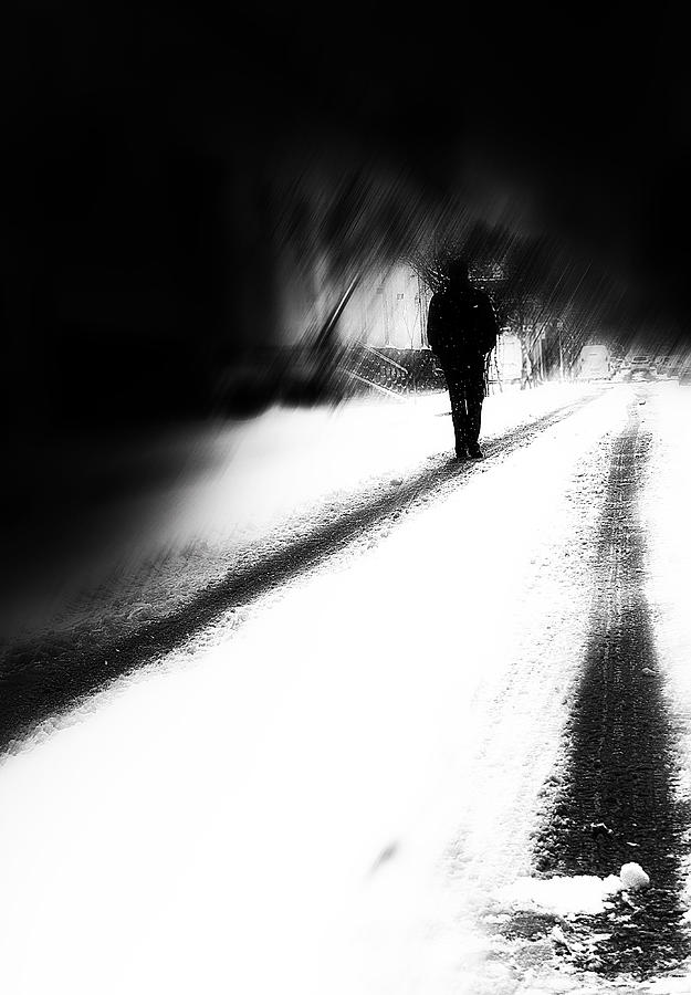 Snowy Photograph by Arian Yousefi Javan