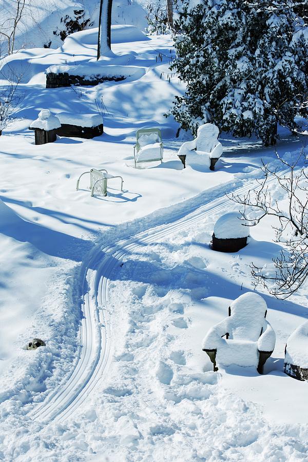 Snowy Backyard With Sledding Tracks Photograph by Colin Cooke