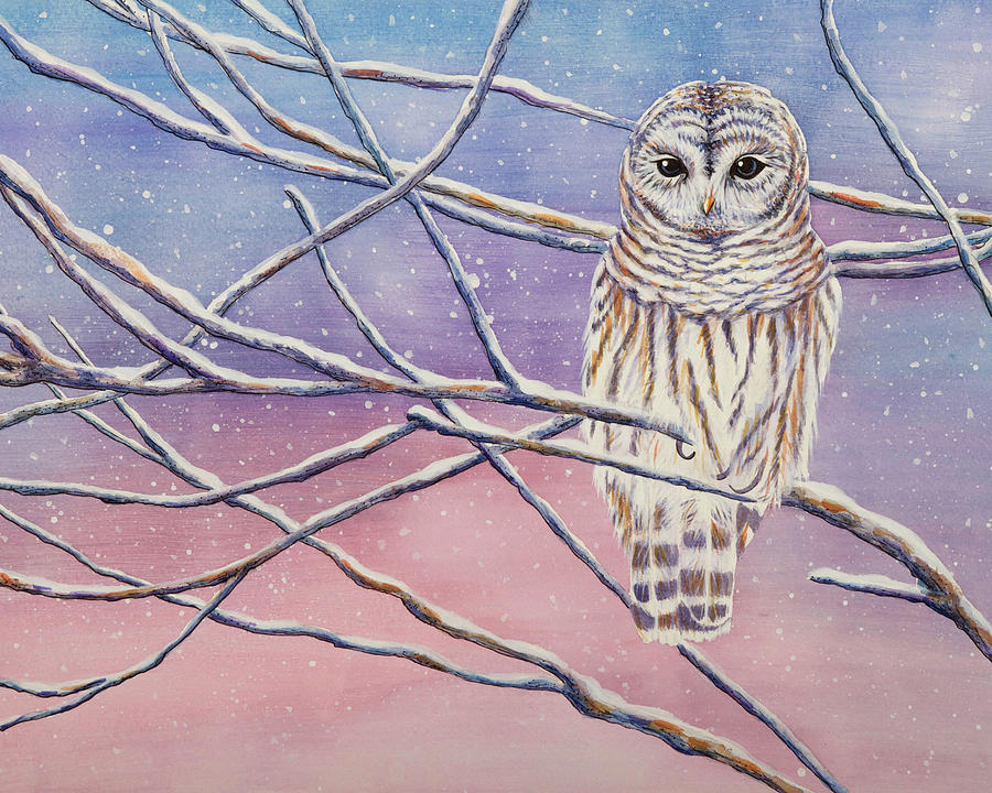 Snowy Barred Owl Painting by Michelle Faber - Fine Art America