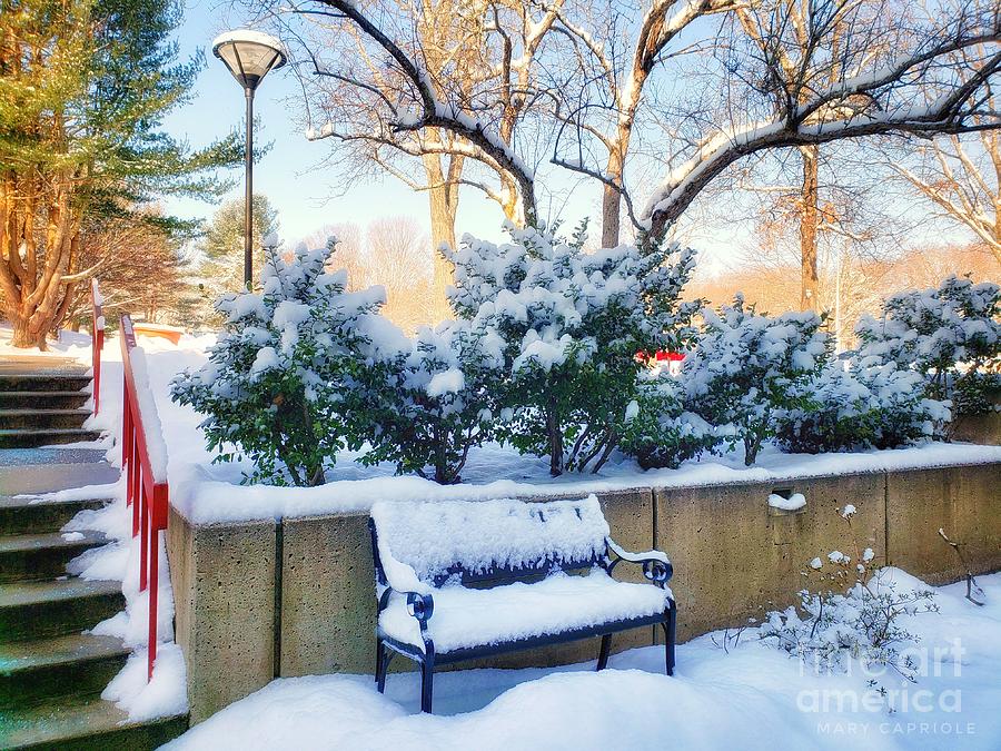 Winter Photograph - Snowy Bench by Mary Capriole