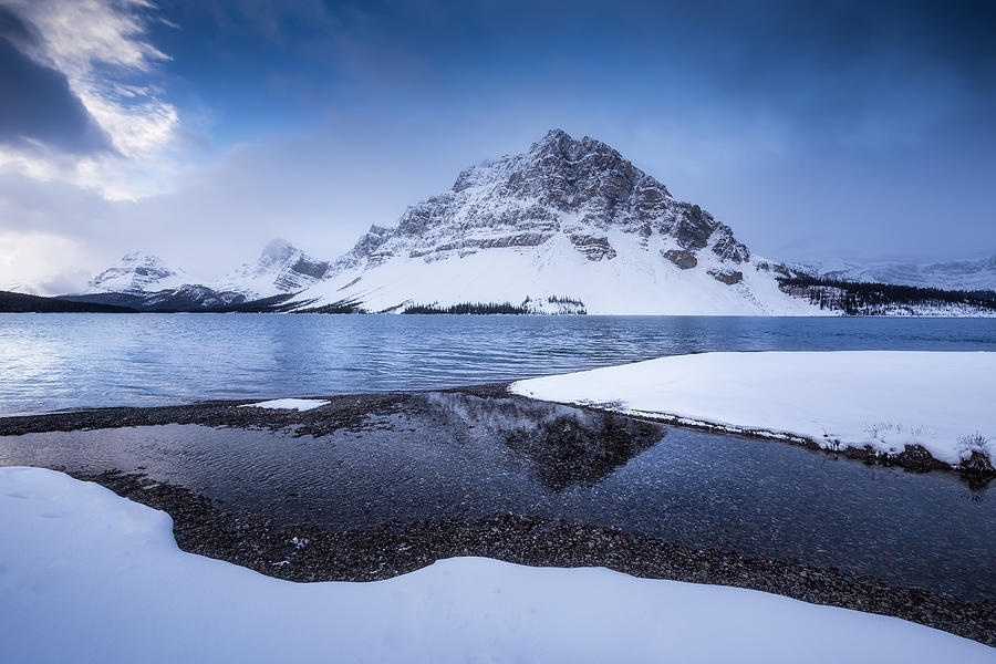 Snowy Bow Photograph by Ivan Macia
