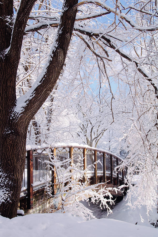 Snowy Bridge Photograph by Hermes Fine Art
