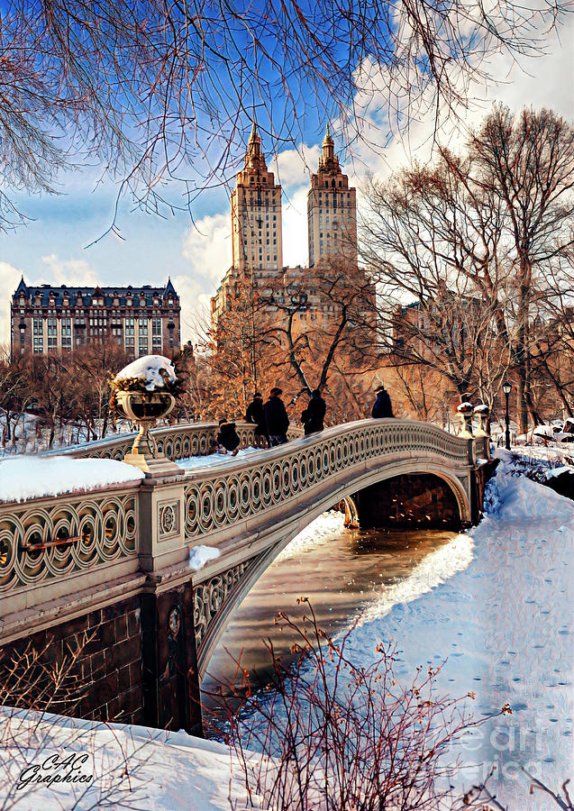 Snowy Central Park Digital Art by CAC Graphics