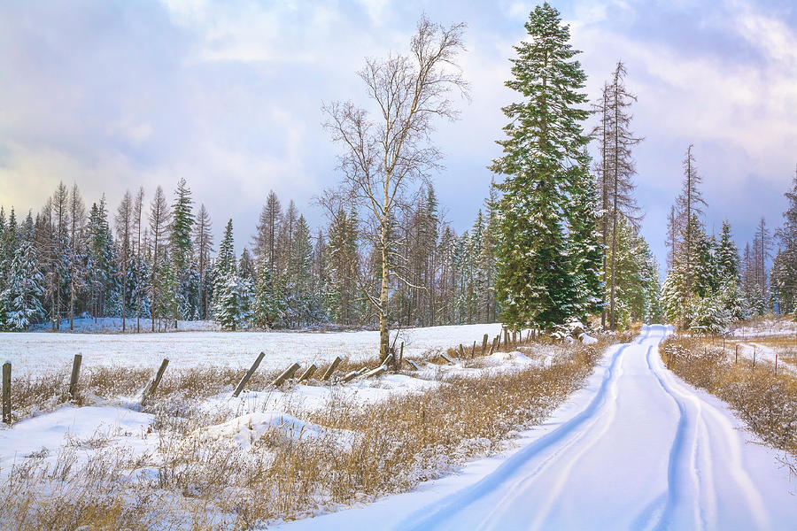 Snowy Country Lane In Rural Northern Photograph by Dszc