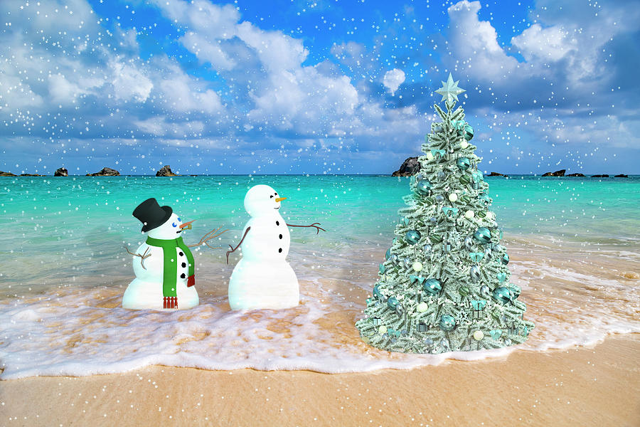 Snowy Couple On Christmas Tree Beach Digital Art