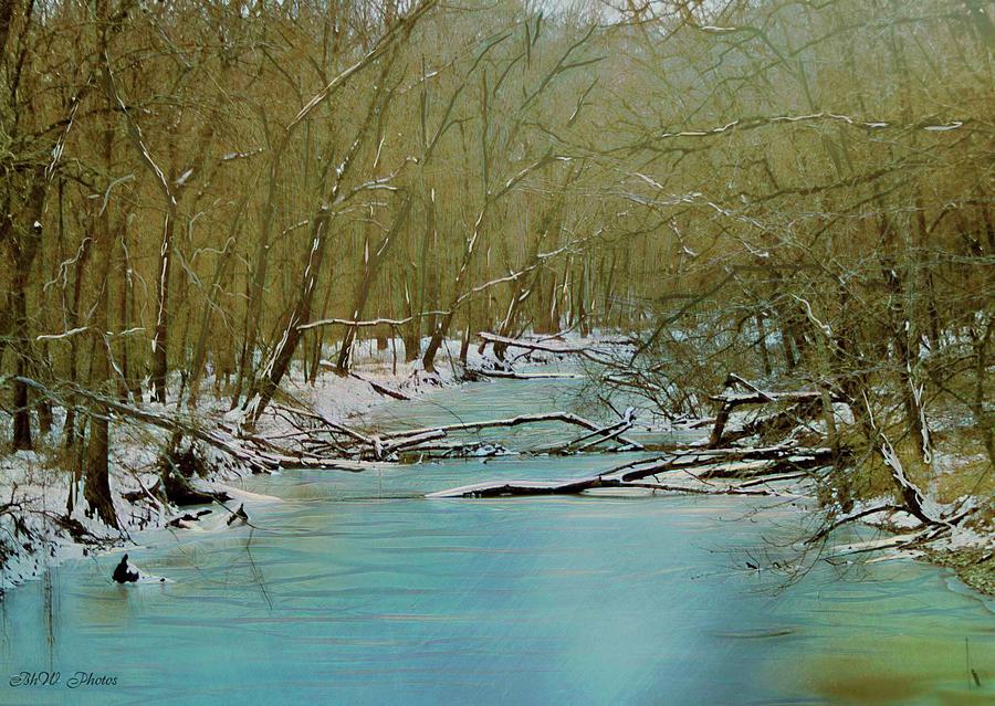 Snowy Creek Digital Art by Bonnie Willis