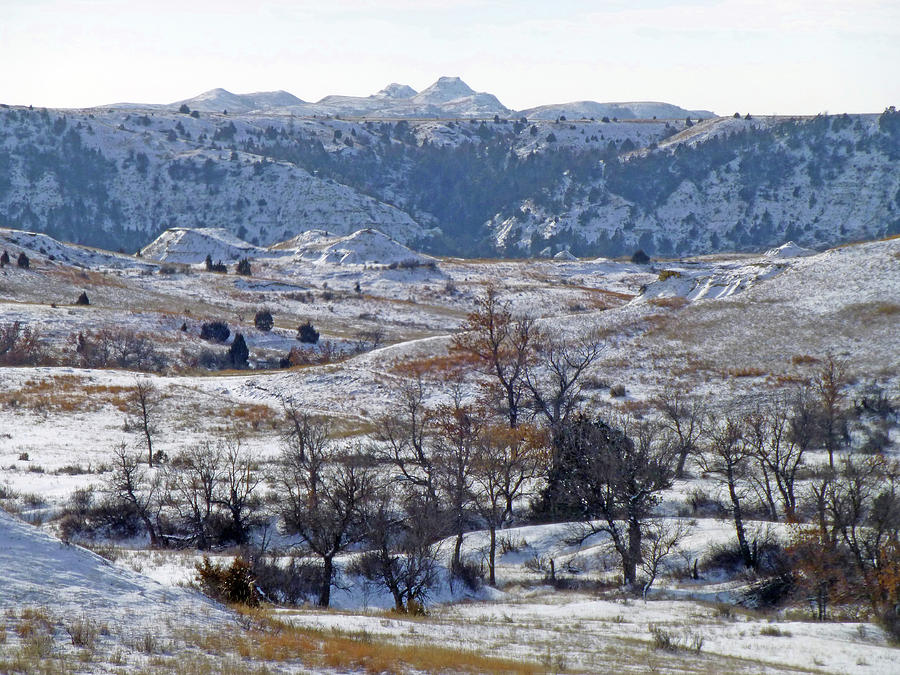 Snowy Dakota Territory Photograph by Cris Fulton