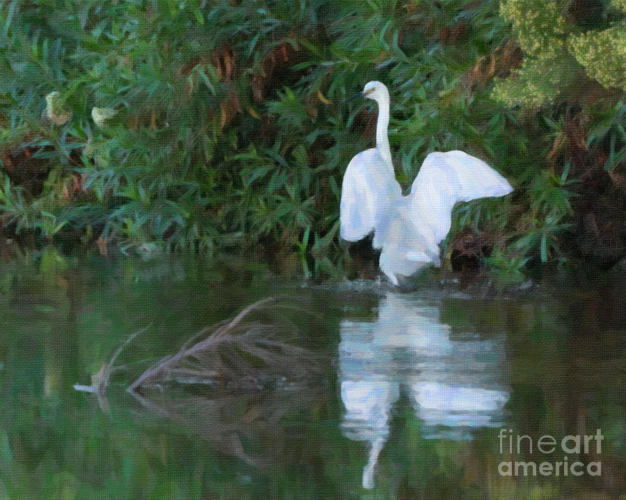 Snowy Egret Digital Painting Photograph by Priscilla Burgers