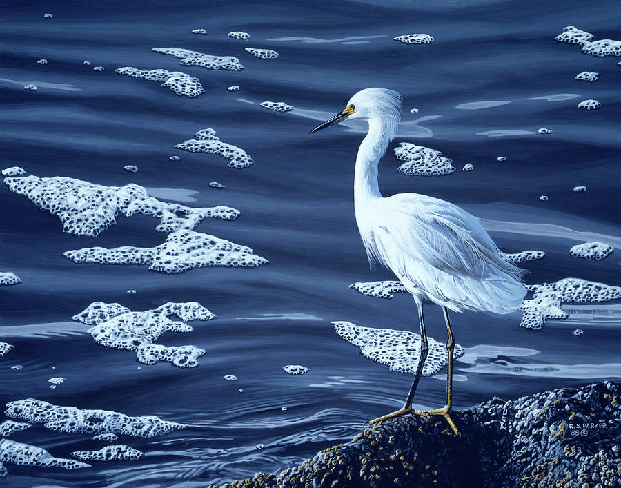 Snowy Egret Painting by Ron Parker