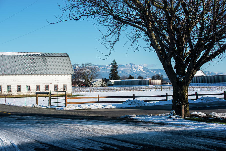 Snowy Farm Field on Field Road Photograph by Tom Cochran
