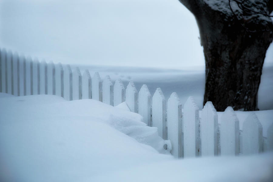 Snowy Fence Photograph by Lindley Johnson