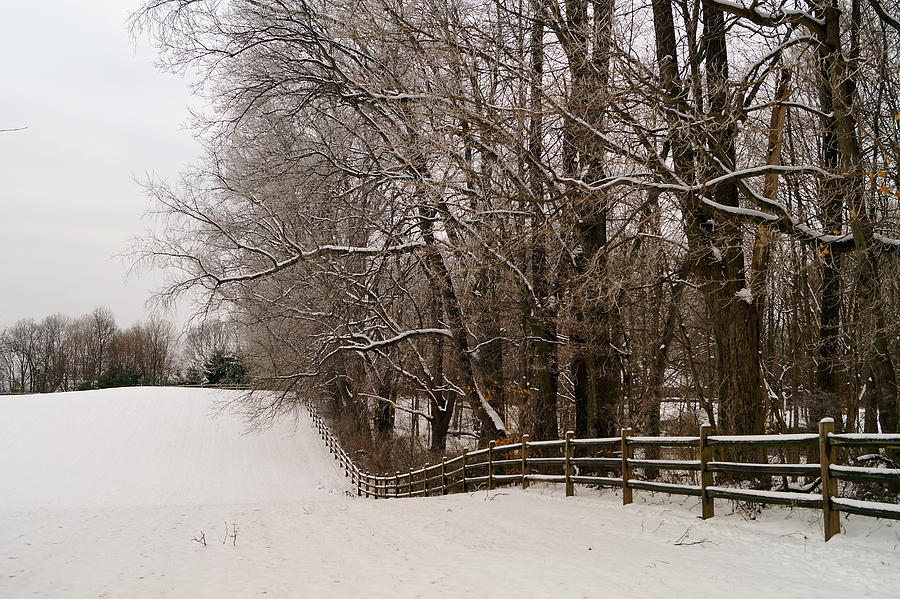 Snowy Field Photograph