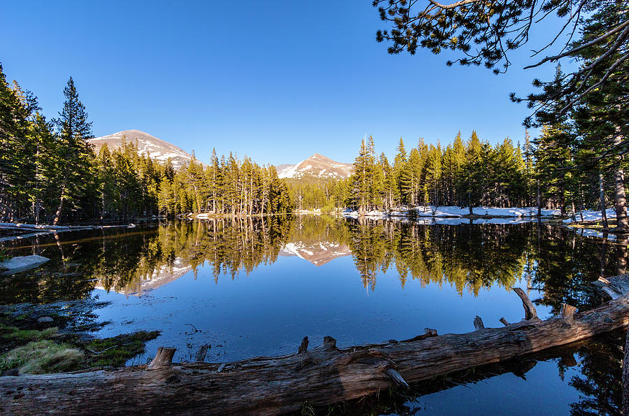Snowy Lake at Yosemite Photograph by Dan Carmichael