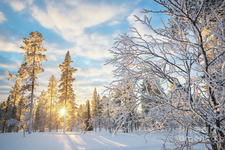 Snowy landscape at sunset Photograph by Delphimages Photo Creations