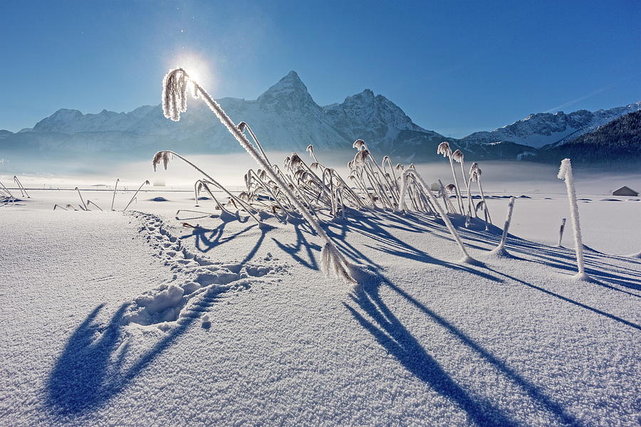 Winter Digital Art - Snowy Landscape With Mountains by Reinhard Schmid
