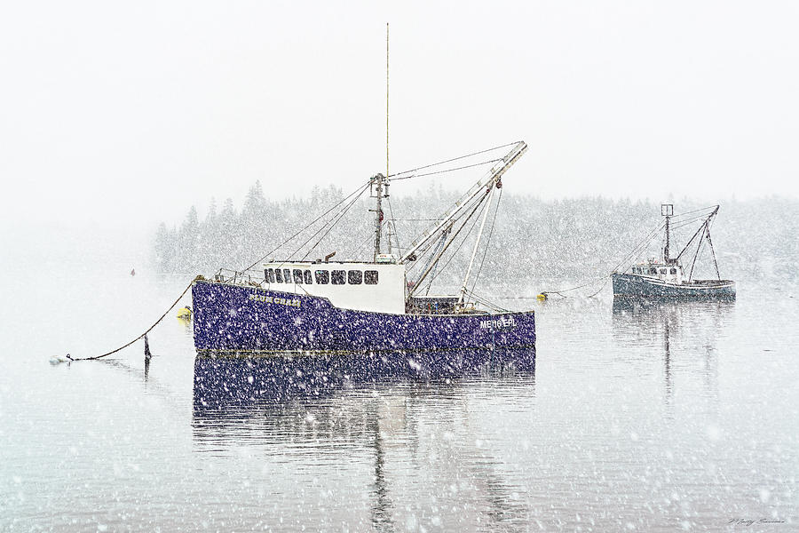 Snowy Moorings 2 Photograph by Marty Saccone