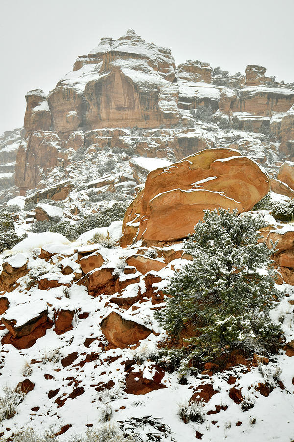 Snowy Morning at East Entrance of Colorado National Monument Photograph by Ray Mathis