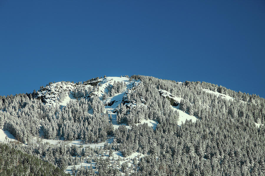 Winter Photograph - Snowy Mount by Todd Klassy