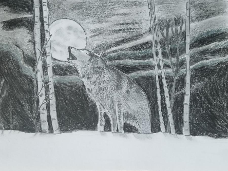 Snowy night Drawing by Paige Lindner - Fine Art America