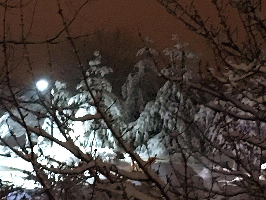 Snowy Night Photograph