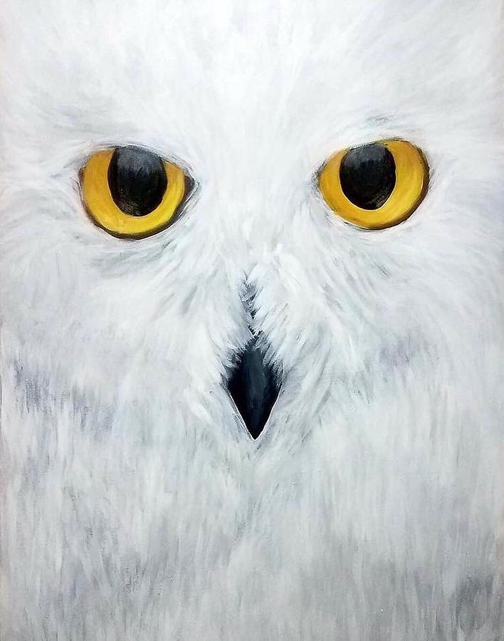 Snowy Owl  Painting by Amy Kuenzie