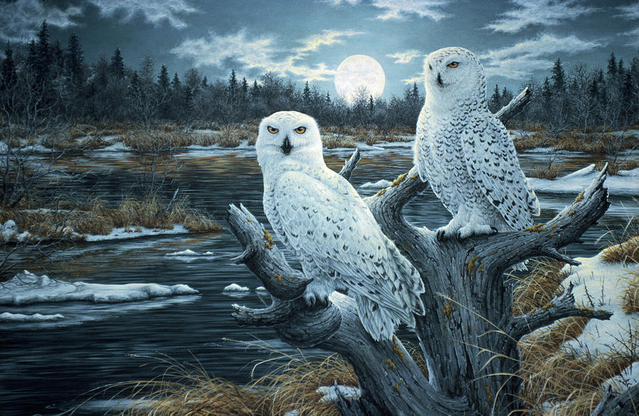 Snowy Owls Painting by Jeff Tift