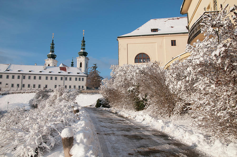 Snowy Path to Strahov Monastery Photograph by Jenny Rainbow