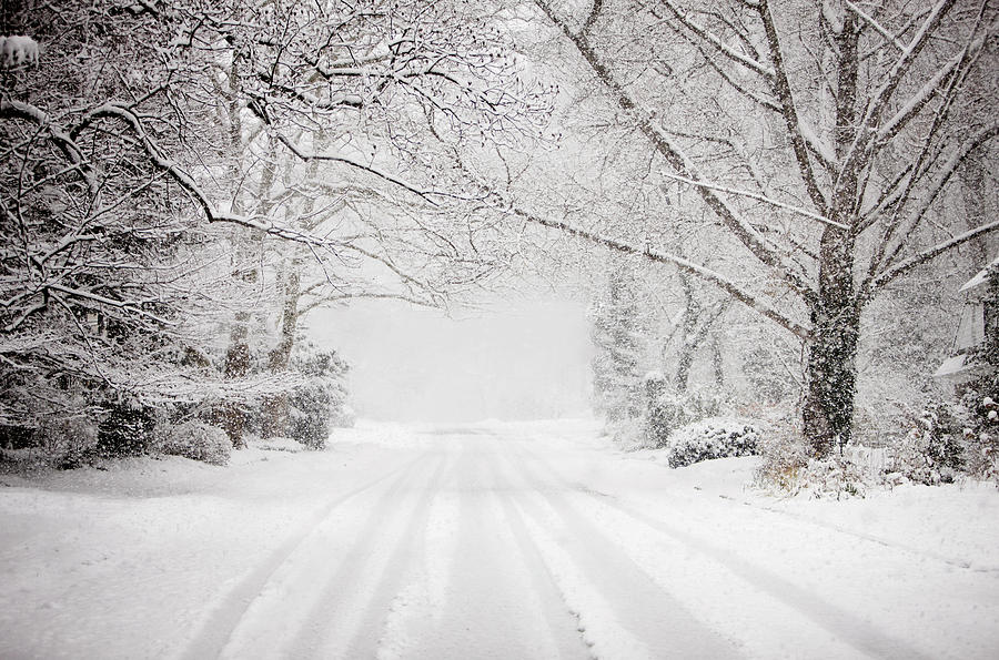 Snowy Road In Snow Storm by David Sacks
