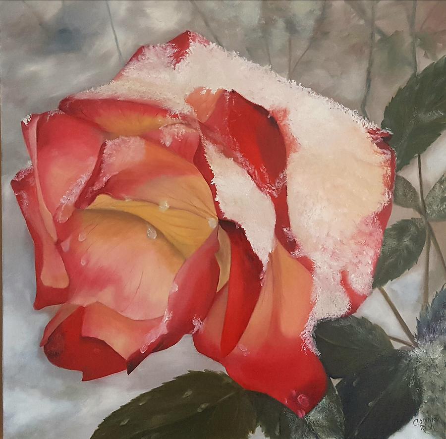 Snowy Rose Painting by Connie Rish