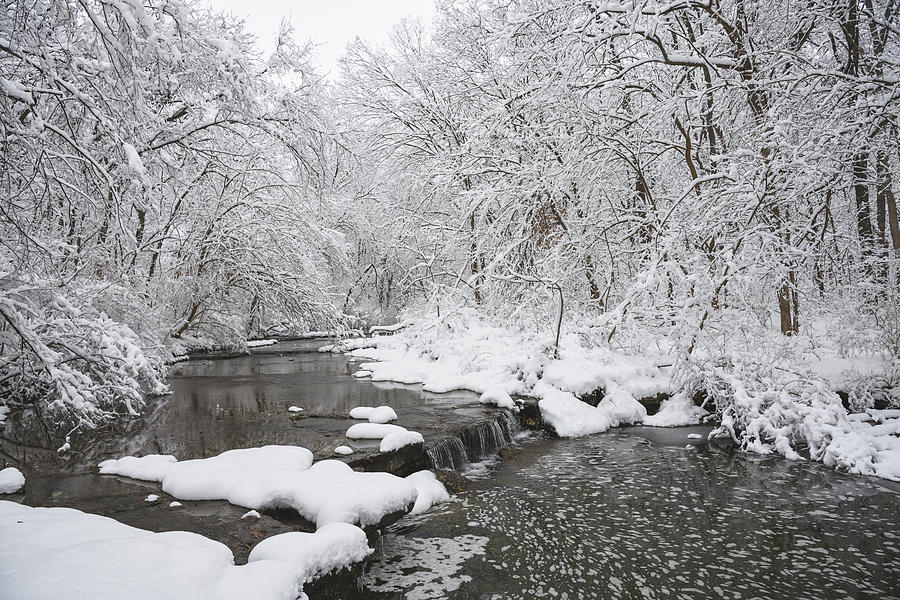 Snowy Scene Photograph by Haley Parson - Fine Art America