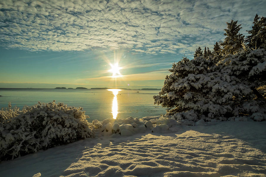 Snowy Sunrise Photograph