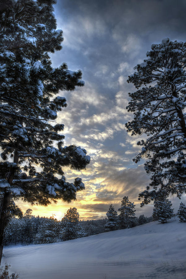 Snowy Sunset Photograph by Mark Langford