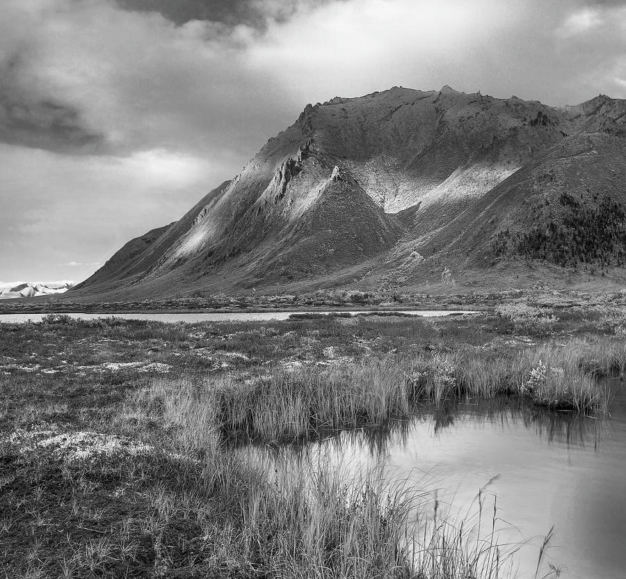 Snowy Tombstone Territorial Park Photograph by Tim Fitzharris